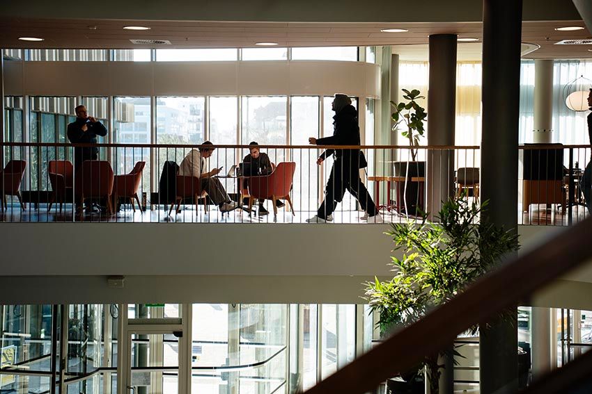 malmö universitet